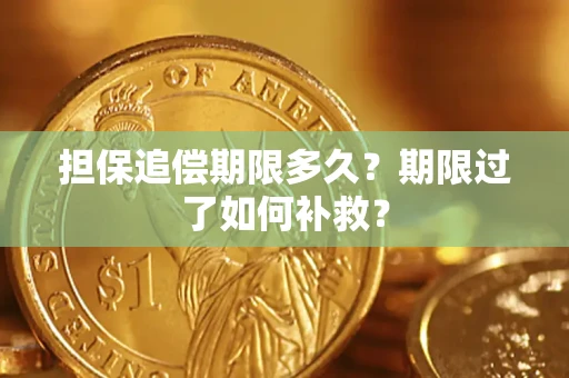 北京担保追偿期限多久？期限过了如何补救？
