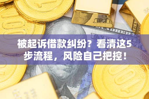 北京被起诉借款纠纷？看清这5步流程，风险自己把控！
