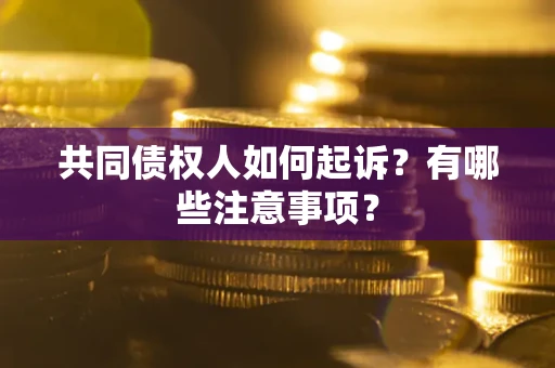 北京共同债权人如何起诉？有哪些注意事项？